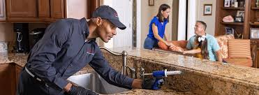 Best Real Estate Pest Inspections  in Blackshear, GA